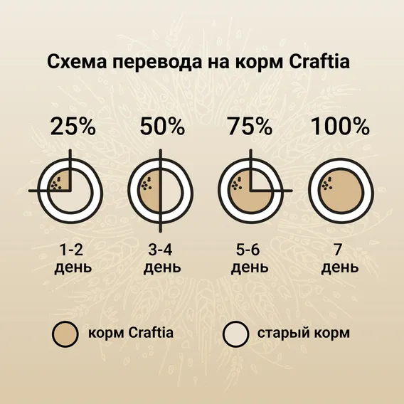 Product 8