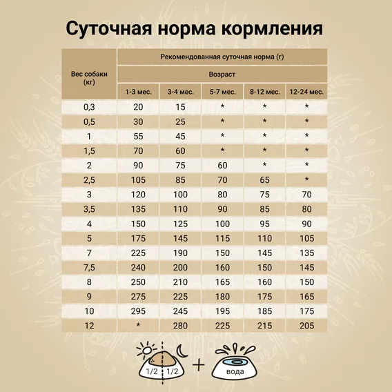 Product 6