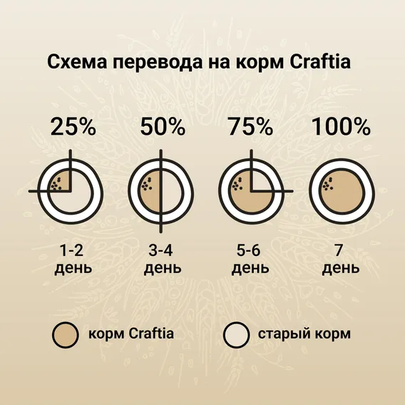 Product 7