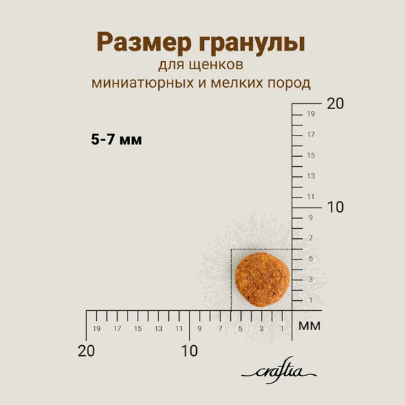 Product 10