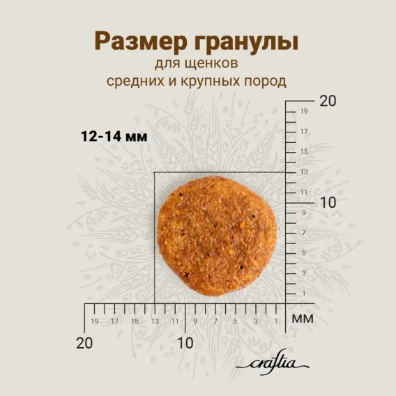 Product 11