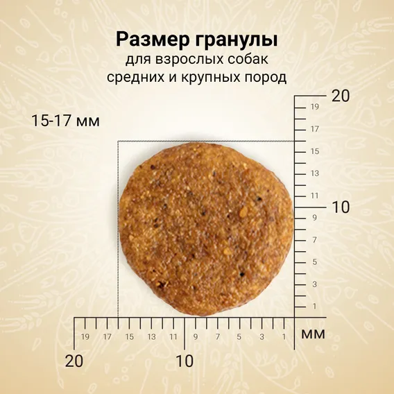 Product 5