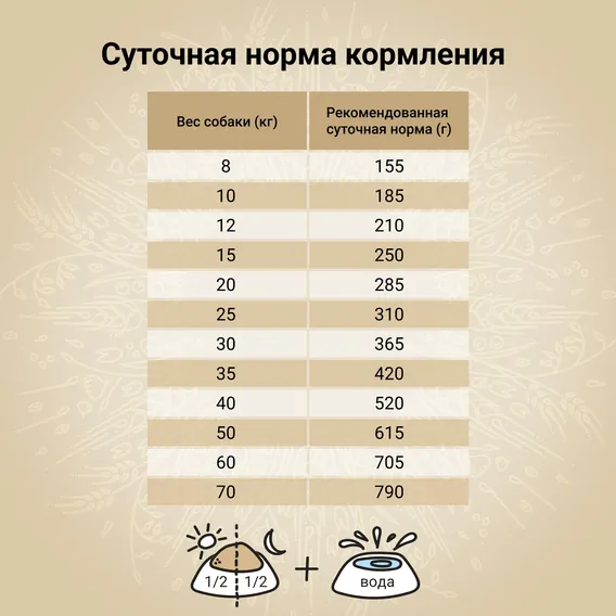 Product 6