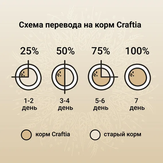 Product 7