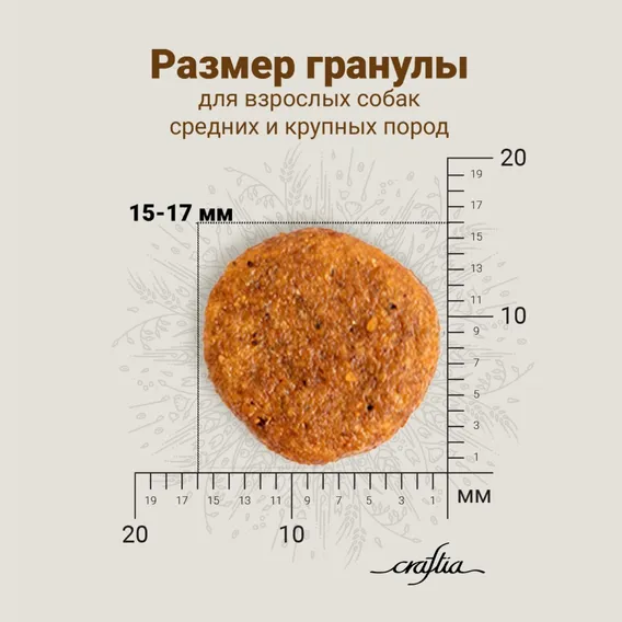 Product 10