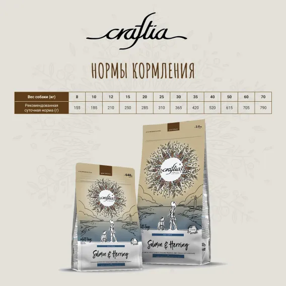 Product 12