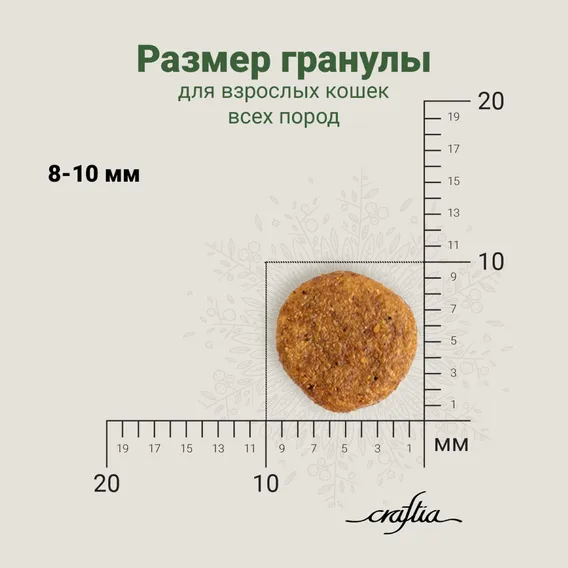 Product 11