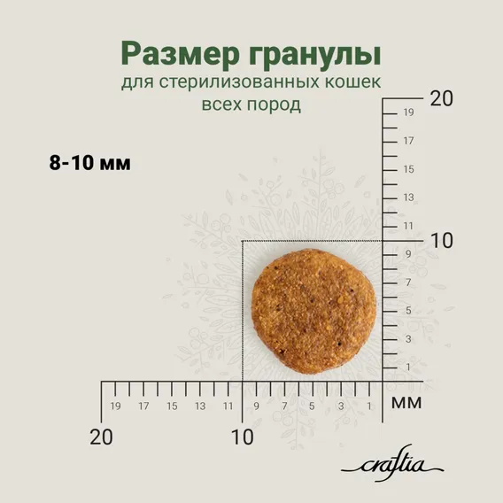 Product 11