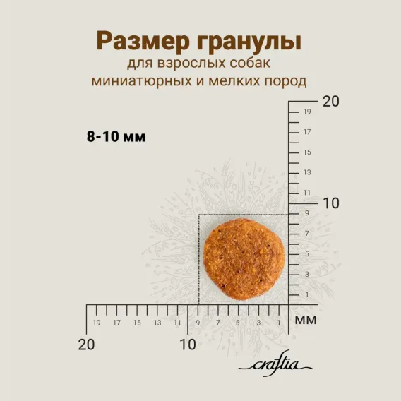 Product 11