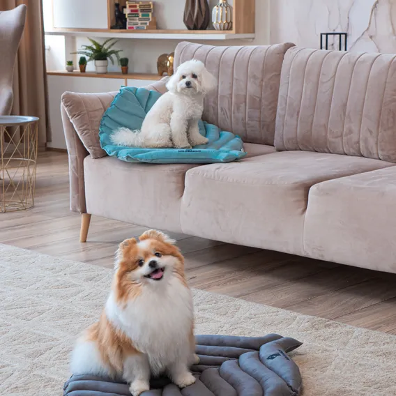 Product 6