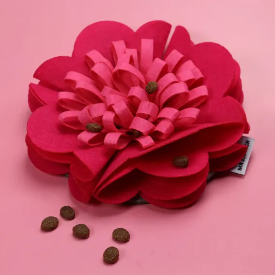 Product 5