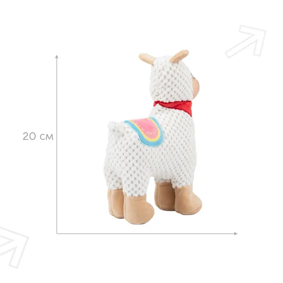 Product 4