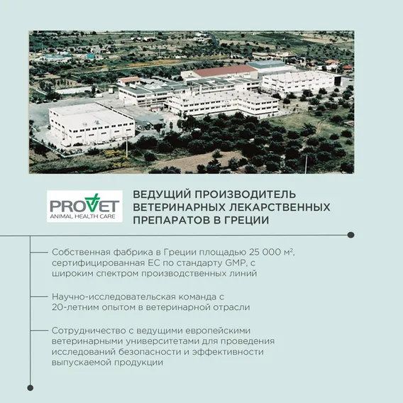Product 6