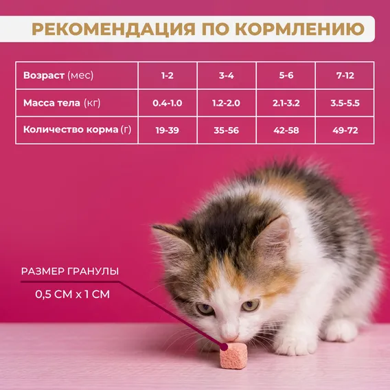 Product 6