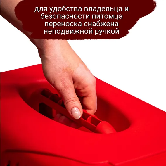 Product 11