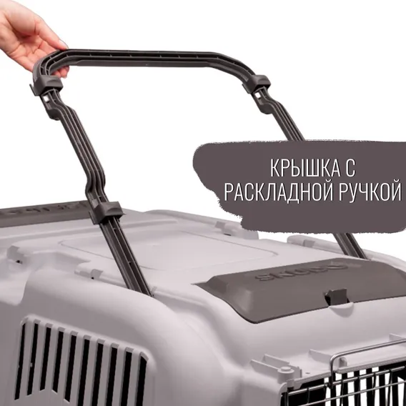 Product 15