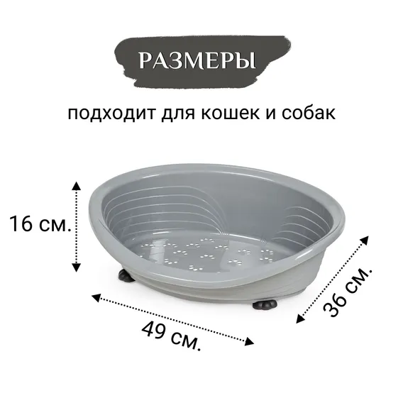 Product 5
