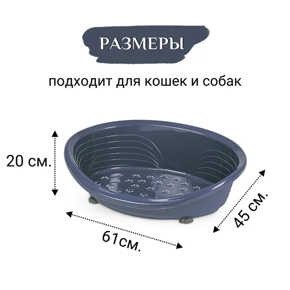 Product 5