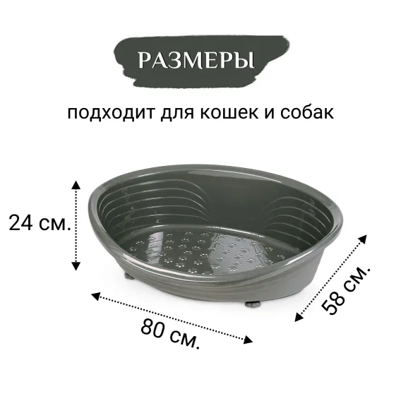 Product 5