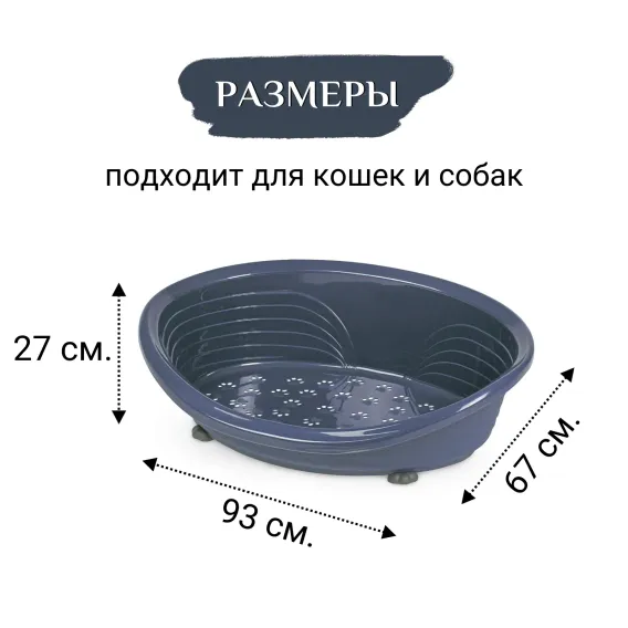 Product 5