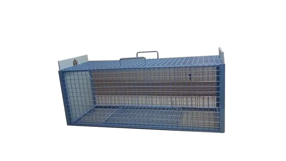 Product 2