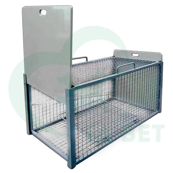 Product 3
