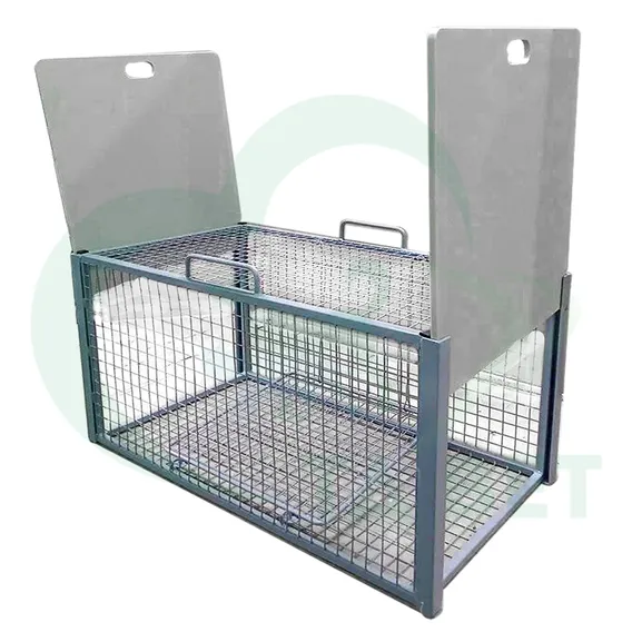 Product 4