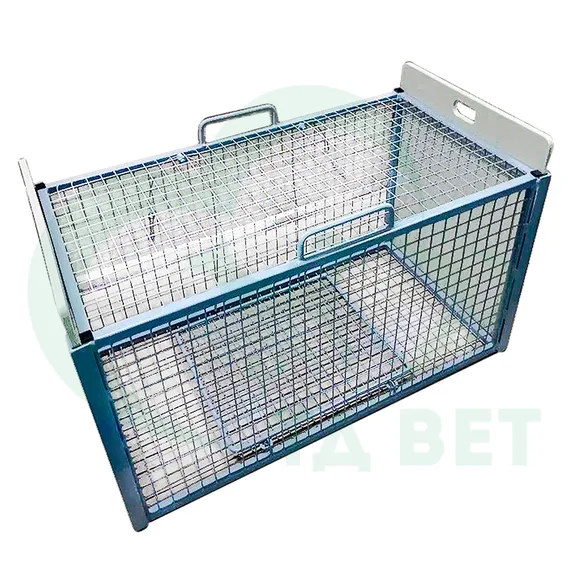 Product 5