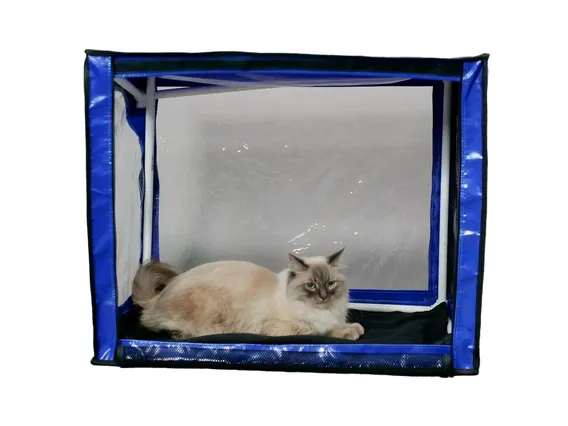 Product 2
