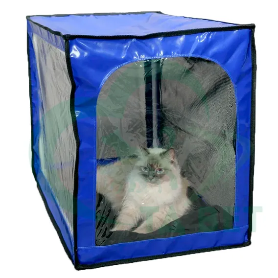 Product 5