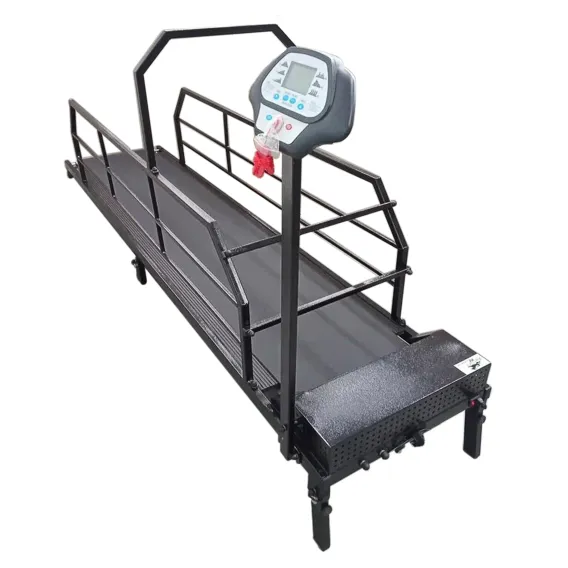 Product 2