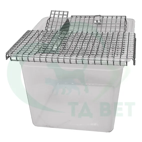 Product 3