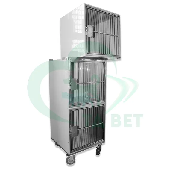 Product 6