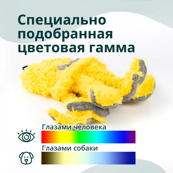 Product 2